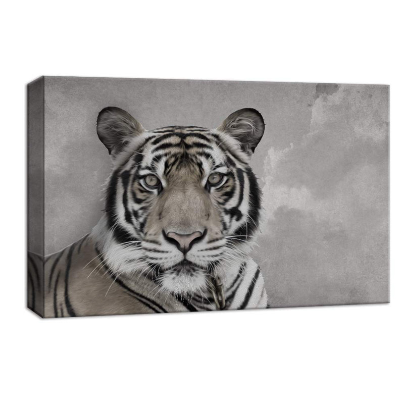Portrait de tigre sur fond graphite, animaux sauvages - reproduction sur toile tendue, H 12 po x l 18 po x P 1,5 po