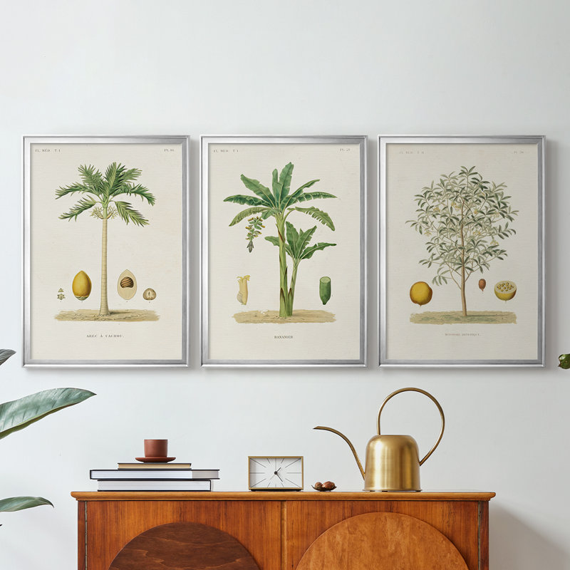 Arbre antique avec fruit II - Toile tendue avec châssis sur mesure - 3 pièces, Argent argent, H 21 po x l 30 po