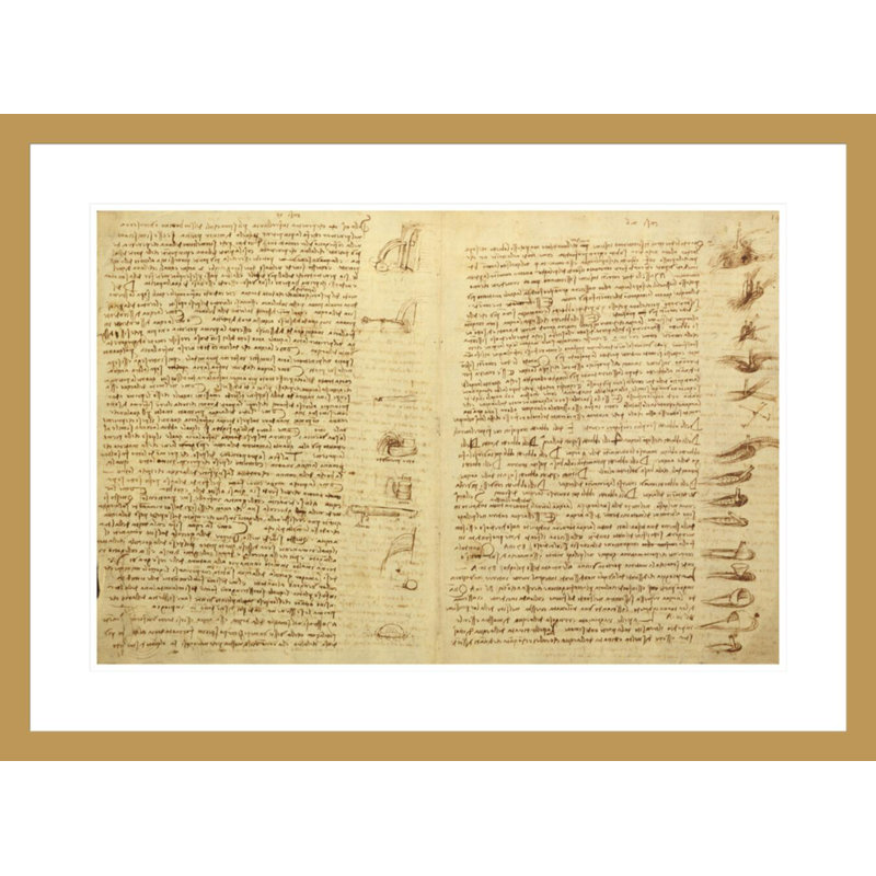 «A page from the Codex Chester» par Leonardo da Vinci, impression giclée encadrée, H 21,8 po x l 29,5 po