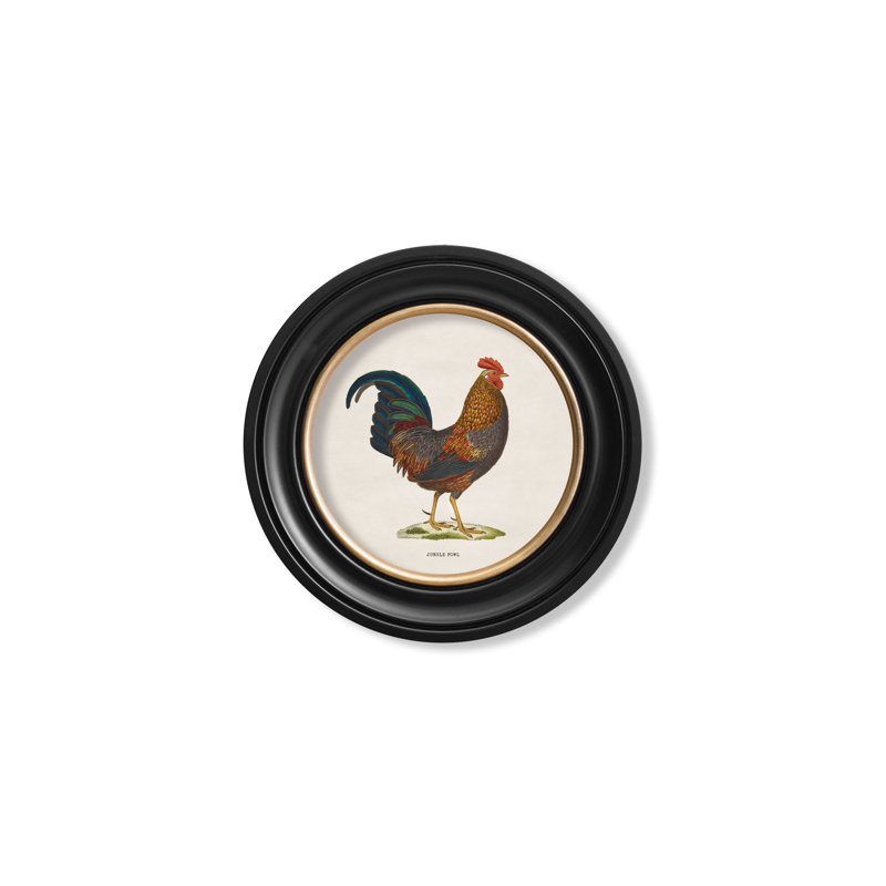 Junglefowl Right Facing by Mid-1800s - Single Picture Frame Print on Archival Matt 230gsm Paper