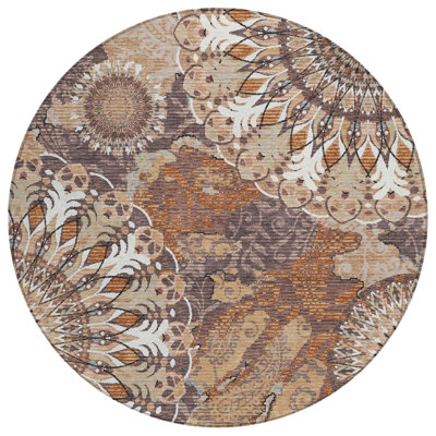 Machine Washable Indoor/Outdoor Chantille ACN2335 Paisley Rug