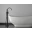 Siderna® Single-Handle Freestanding Tub Filler-51914553
