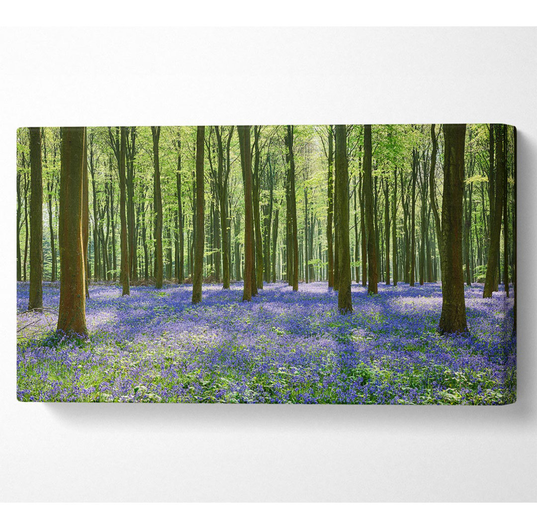 Kunstdruck Shadybrook Mystischer Bluebell-Wald