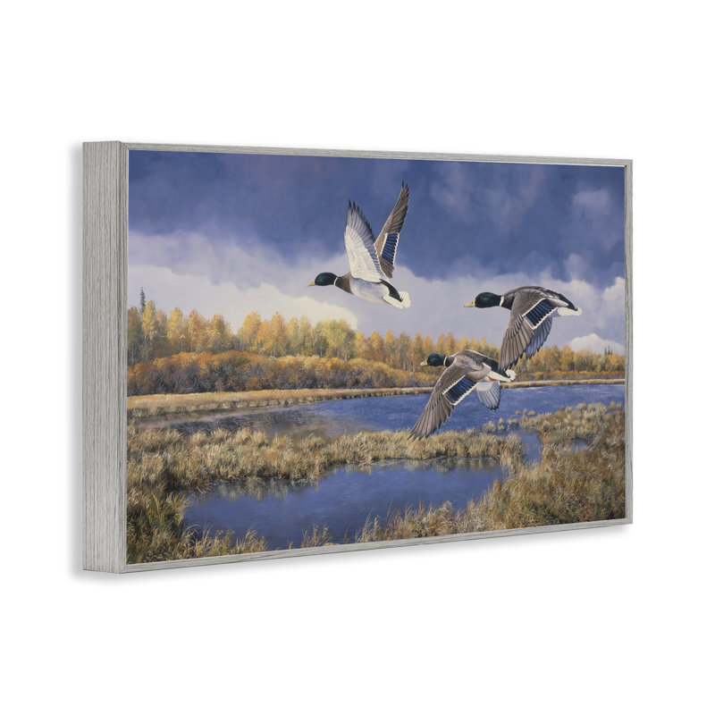 «Ducks Heading South Giclee» par Andrew Kiss, Estampe numérique Farmhouse, H 16 po x l 24 po