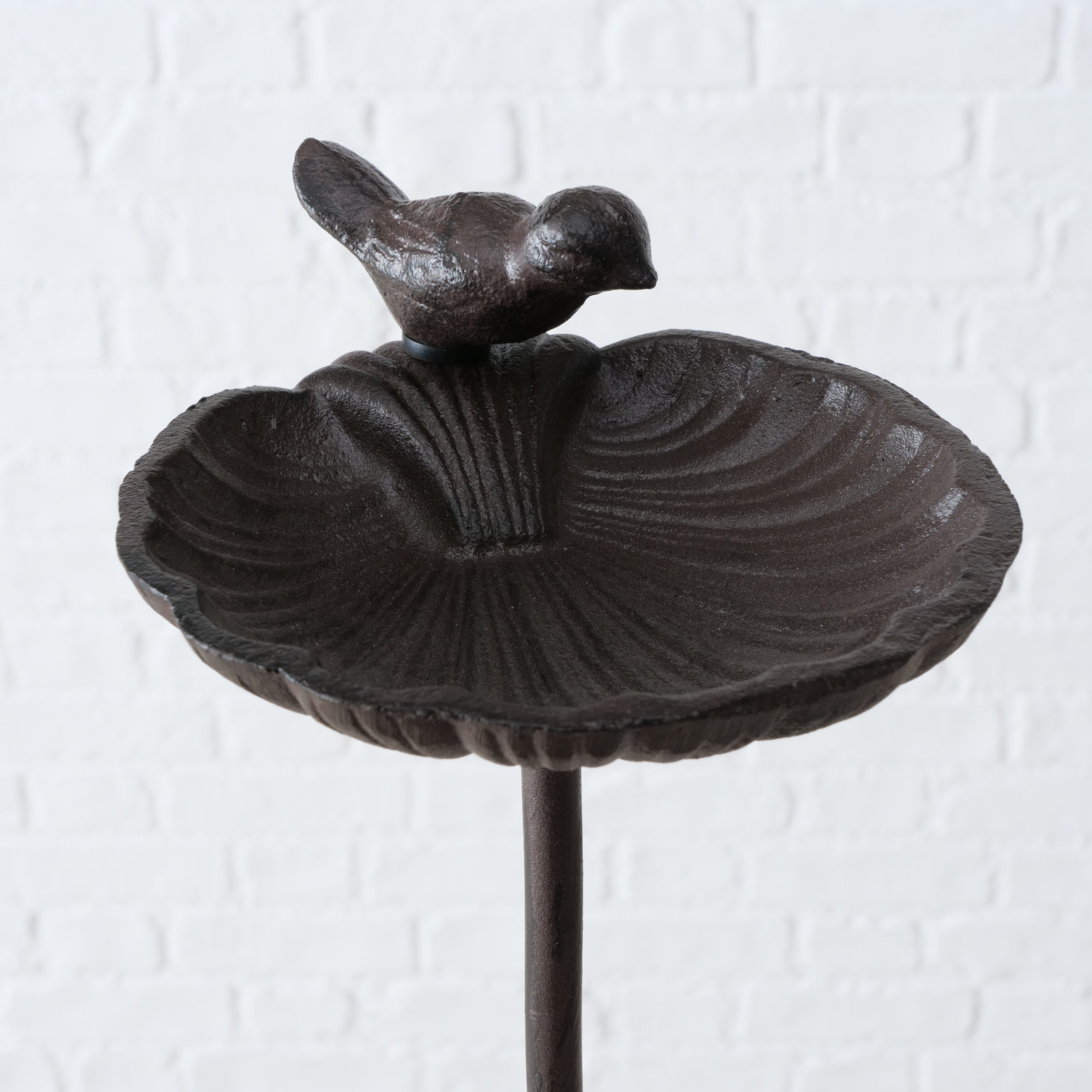 Aleana Scallop Shell Birdbath