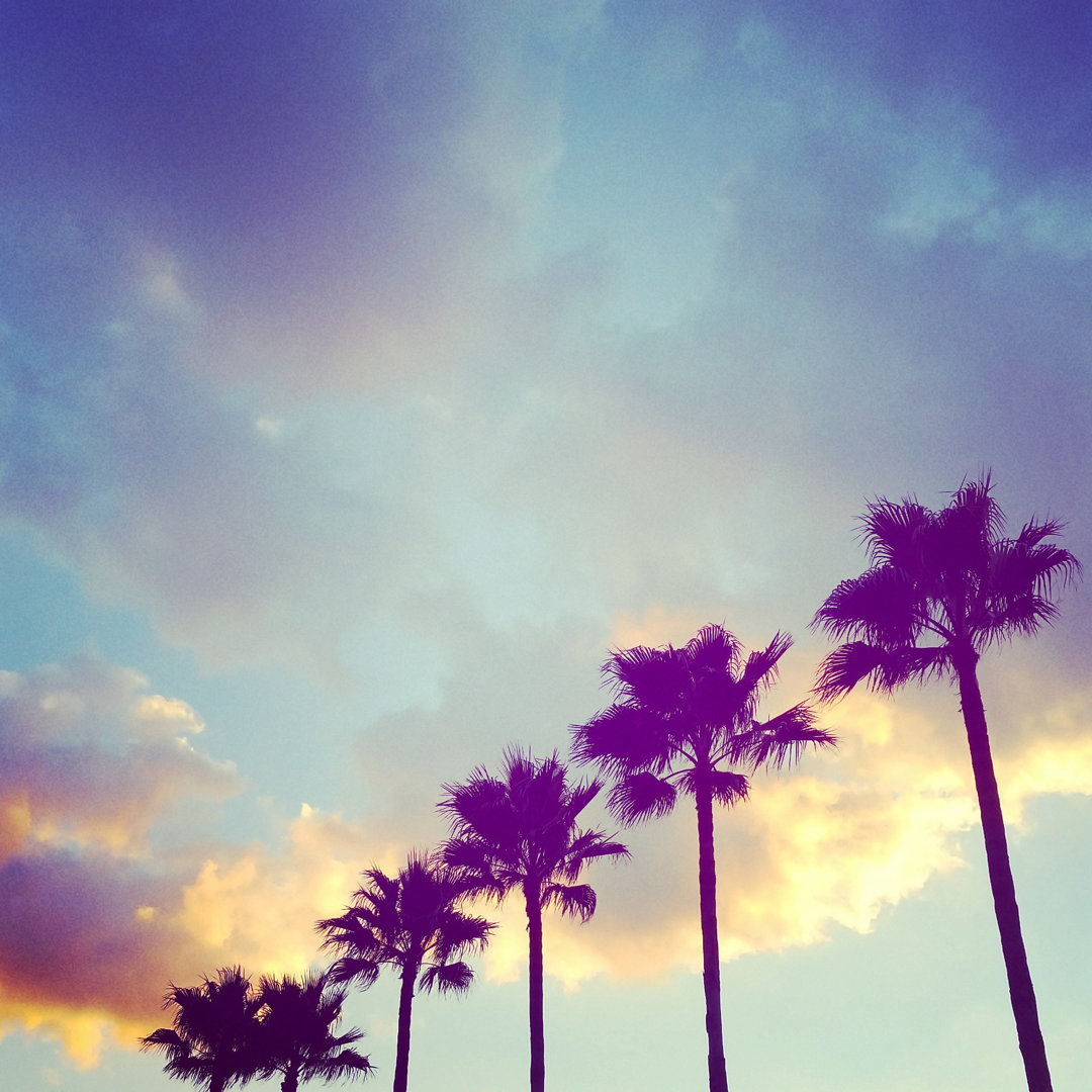 Florida Palm Trees von Lorraine Boogich - Druck auf Leinwand ohne Rahmen