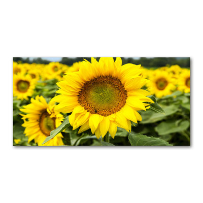 Field Of Sunflowers - Wrapped Canvas Print