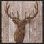 " Majestic Deer " by Tava Studios-64175926-64175931