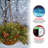 20 in. Colonial Hanging Basket with LED Lights