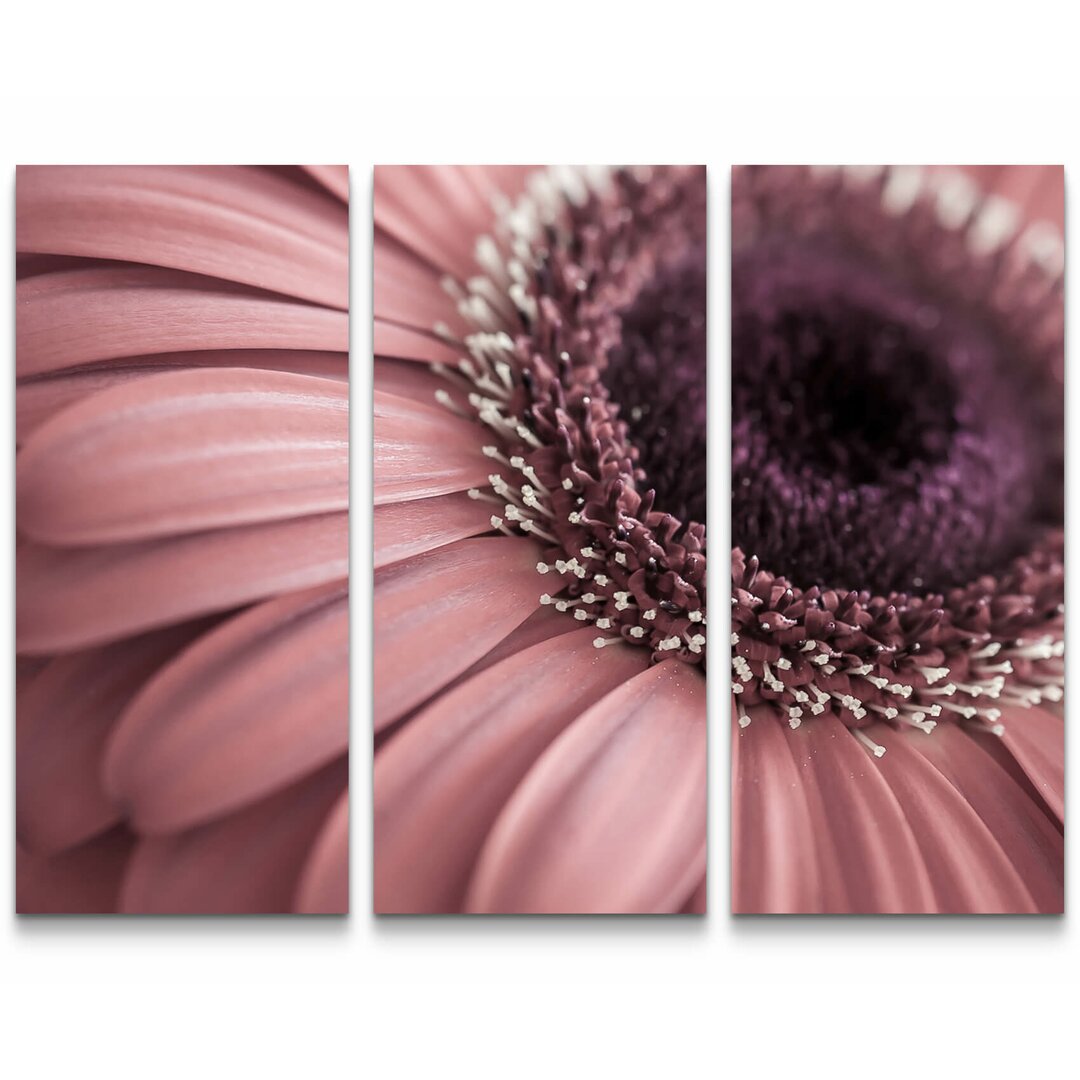 3-tlg. Leinwandbilder-Set Rosa Gerbera