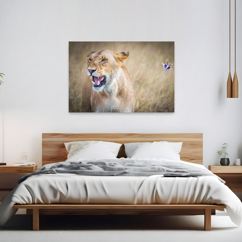 Lioness Meets Flying Insect Contemporary Cat Lion Nature Wildlife Wall Art Print by Jeffrey C. Sink - 1 Piece Wrapped Canvas Wall Art