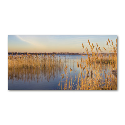 Watercane - Wrapped Canvas Print