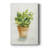 " Succulent I "-1196052174
