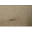 Tapis oriental kilim en laine à tissage plat 5 x 6