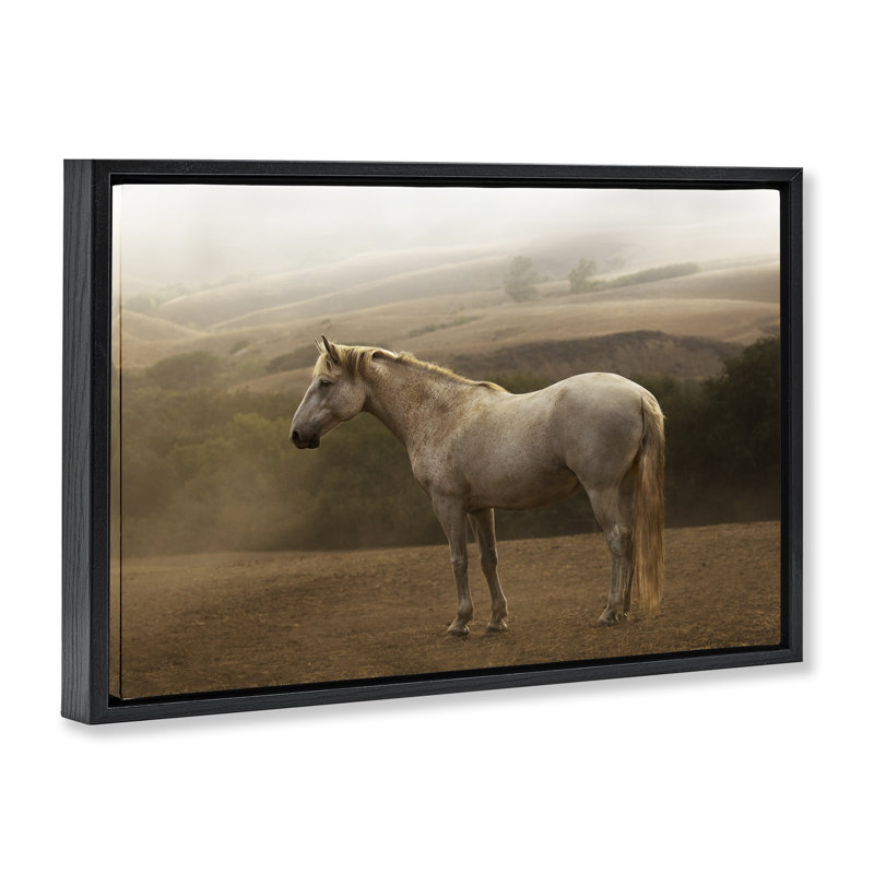«Morning Mist Horse Portrait», art mural sur toile flottant gris par Jadei, H 21 po x l 31 po, Cadre flottant noir de jais