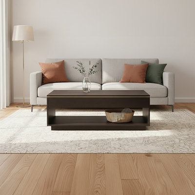 Hezzie Frame Coffee Table with Storage