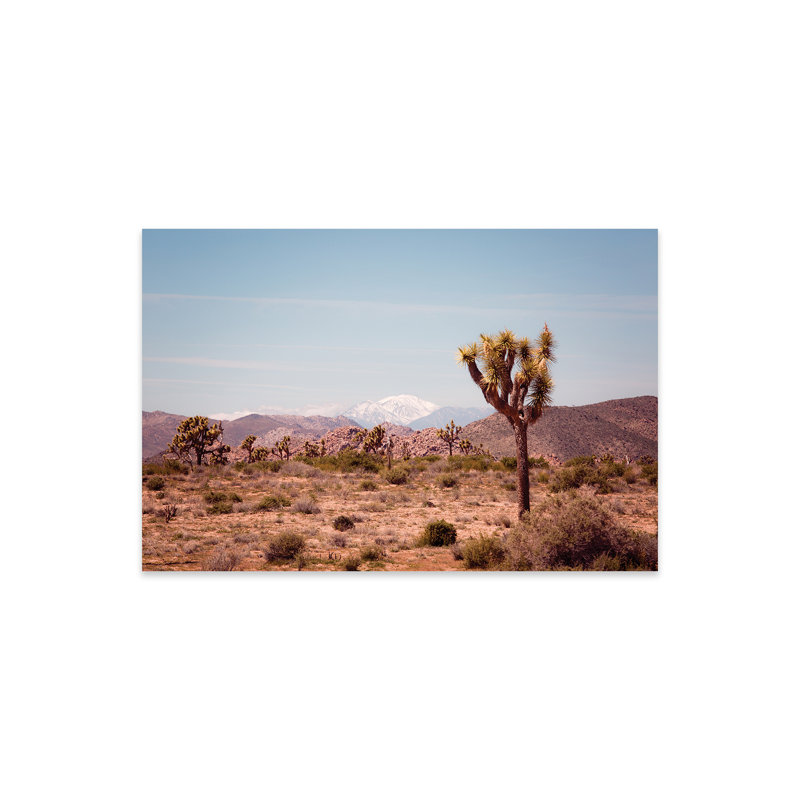 Joshua Tree II par Ann Hudec