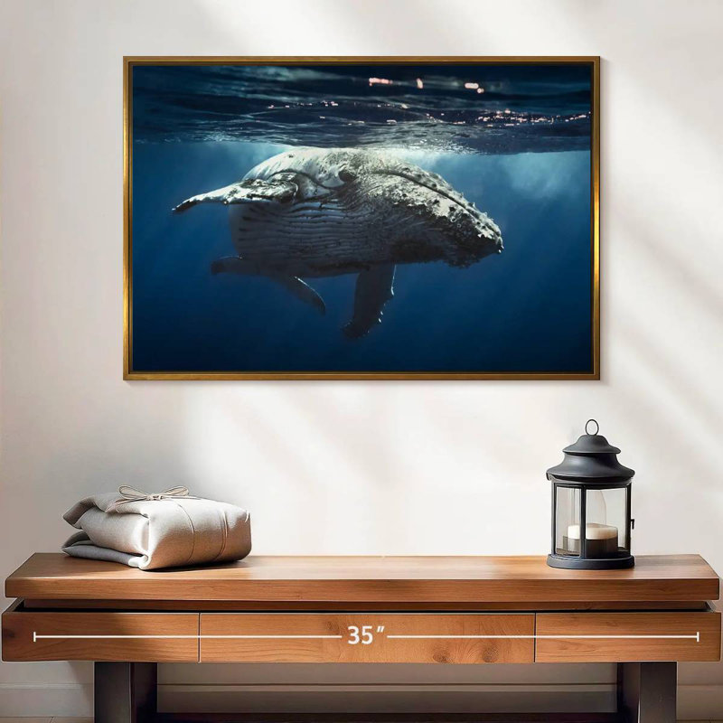 Baleine écumante, Cadre flottant doré, 25 po x 17 po