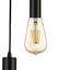 Almaden 5 - Light Black Bulb Pendant