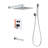 Shower System-117496323