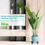 Support pour plante Chorlton
