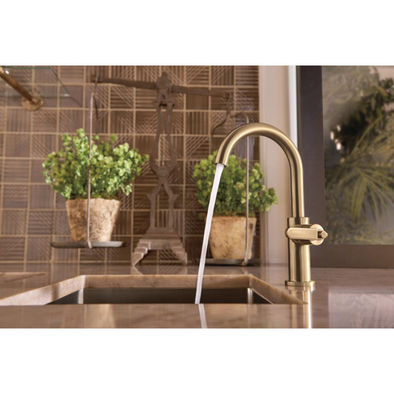 Litze® Bar Faucet with Arc Spout and Industrial Handle, Chrome