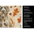 Spinone Italiano Heirloom Fall Kitchen Towel-1218231403