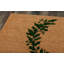 Park Non-Slip Christmas Outdoor Doormat-189847446-189847443