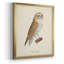 French Owls VI - Toile encadrée de qualité supérieure - prête à être accrochée-829831053-829831050