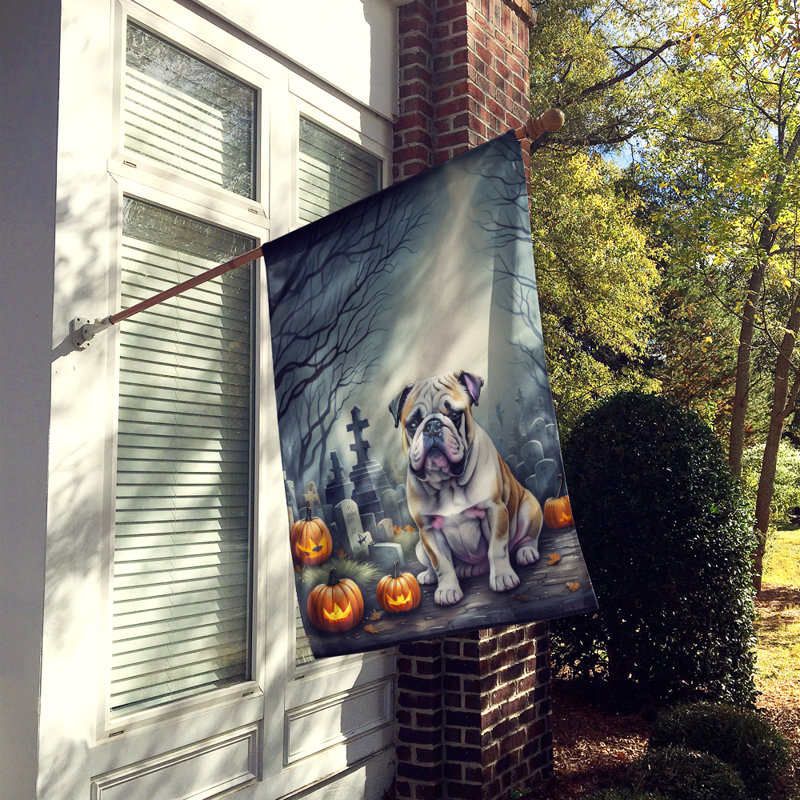 Drapeau de maison d'Halloween en polyester à double face H 40 po x l 28 po