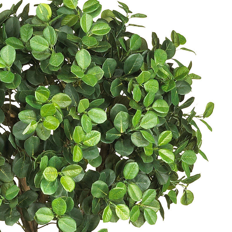 65'' Faux Eucalyptus Tree in Pot