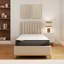 SleepyCastle Pocket Spring GFW Pocket Sprung 1 Mattress-107402222