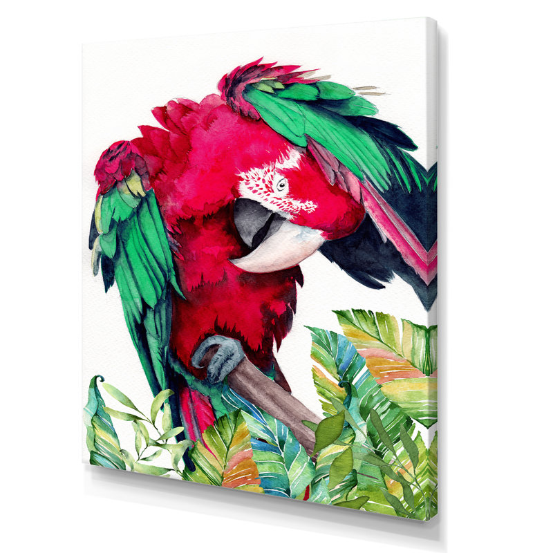 Perroquet rouge et vert - reproduction sur toile, H 20 po x l 12 po, Toile tendue