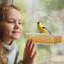Mangeoire décorative pour oiseaux-51884143
