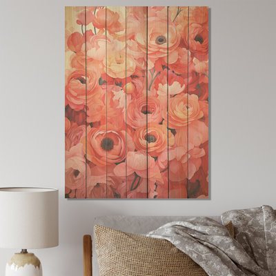 Coral Ranunculus Radiant Beauties - Ranunculus On Wood Print