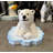 Peeking Baby Polar Bear Cub Statue