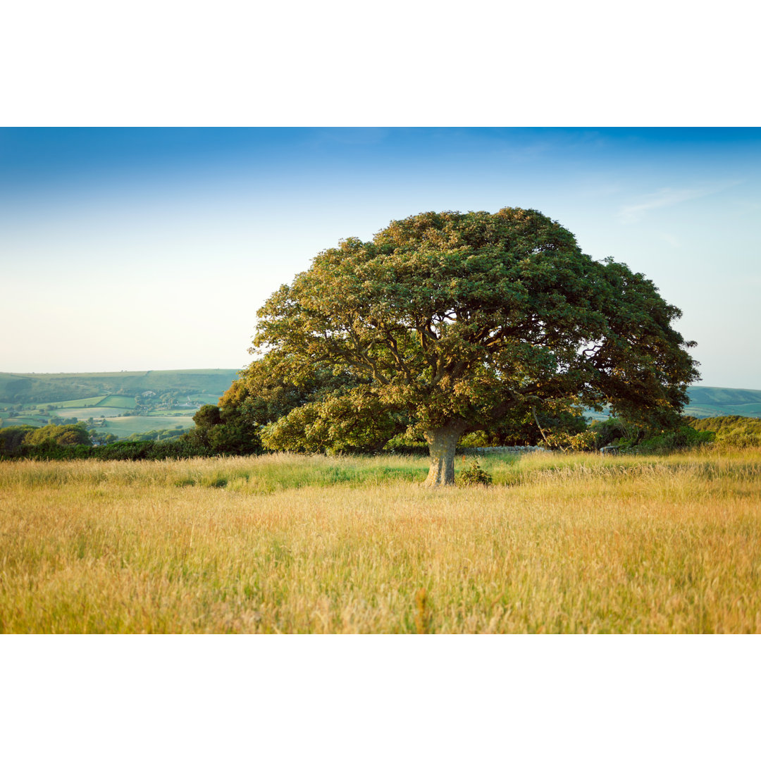 Beautiful Countryside von Druvo - Kunstdrucke auf Leinwand ohne Rahmen