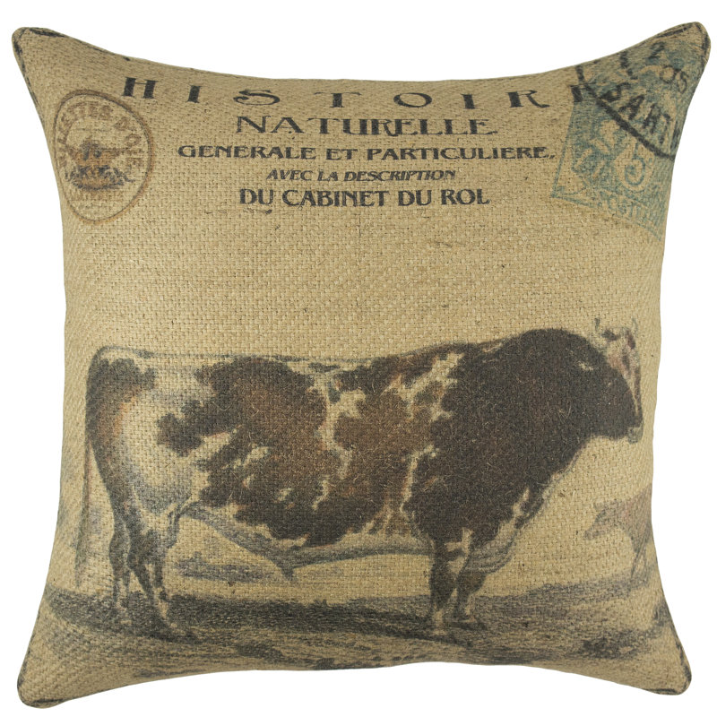Throw Pillow
