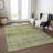 Machine Washable Indoor/Outdoor Cicel ACN1174 Aloe Rug-100344143