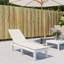 Coussin de chaise longue pour terrasse Latitude (29,5 po + 41,3 po) x 19,7 po x 1,2 po-545304641