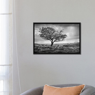 « élégance », reproduction de photo sur toile