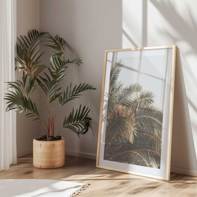 Palm Grove Bliss Print