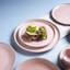 Assiette plate en grès cérame 10,8 po Linhas Litchi - Va au micro-ondes, au four et au lave-vaisselle, par Porto Brasil