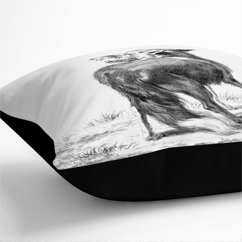 Square Throw Cushion, Black, 55cm H x 55cm W x 20cm D
