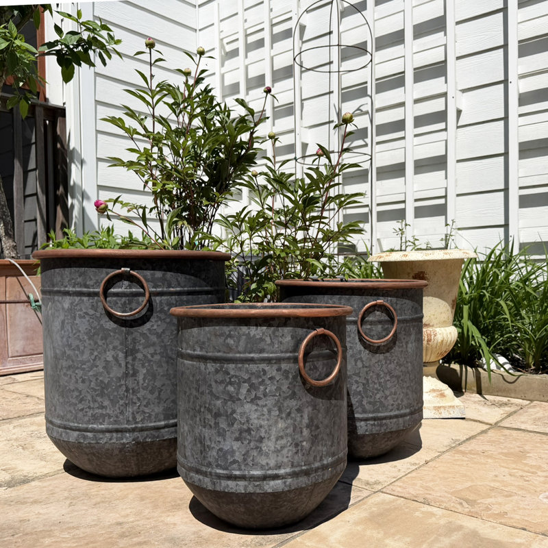 Ensemble de jardinières 3 pièces Old Forge Chubby Belly, 18,75 po