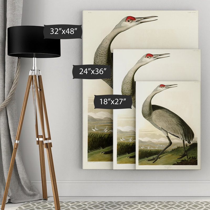 «Whoopard Crane» par John Audubon, impression sur toile, H 18 po x l 27 po x P 1,5 po