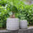  Ceramic Plant Pots, 7 + 5 Inch, Set of 2 Flower Pots with Drain Hole and Saucer, Bamboo Pattern Planter for Plants Orchids Succulents Indoor/Outdoor, Plant Gifts - Grey-875857325
