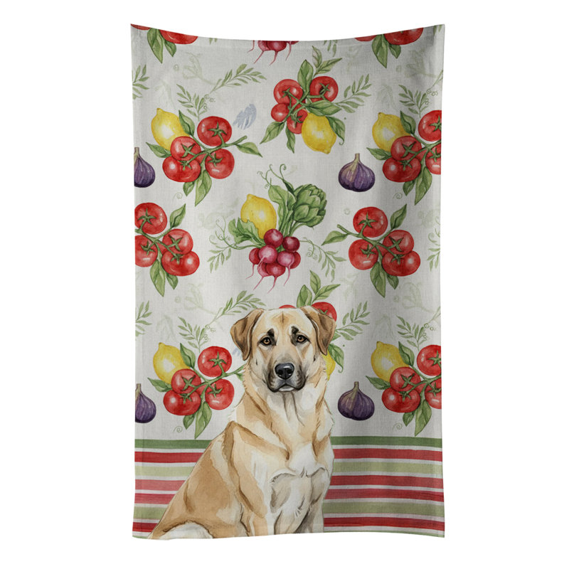 Torchon Anatolian, Anatolian Shepherd Dog