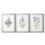 Lilas botanique délicat - impression encadrée sur mesure de qualité supérieure - 3 pièces-709229521