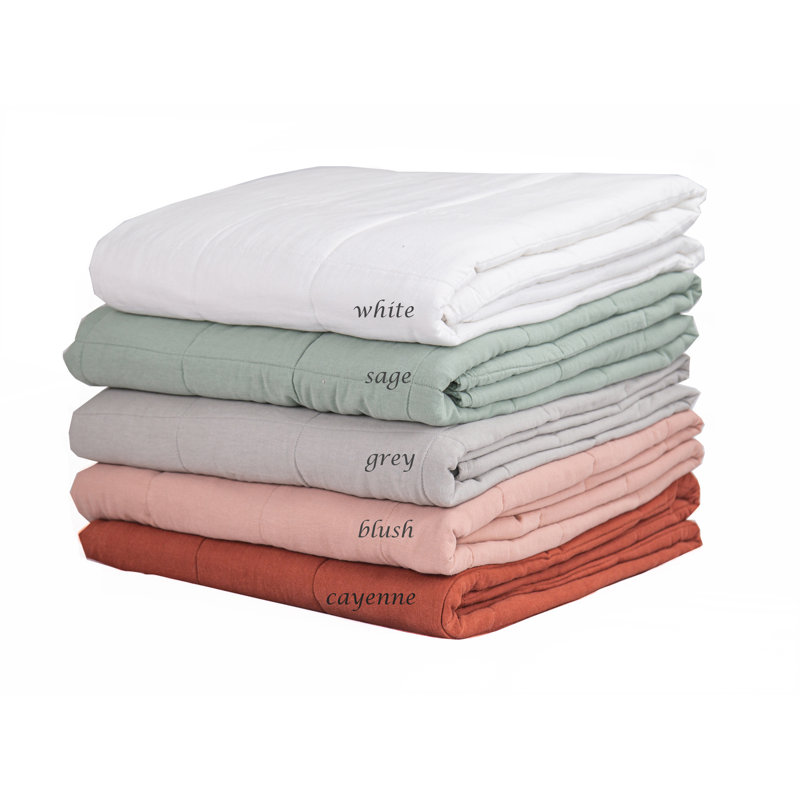 Sage Green Cotton Queen Quilt Set with Pillow Shams
